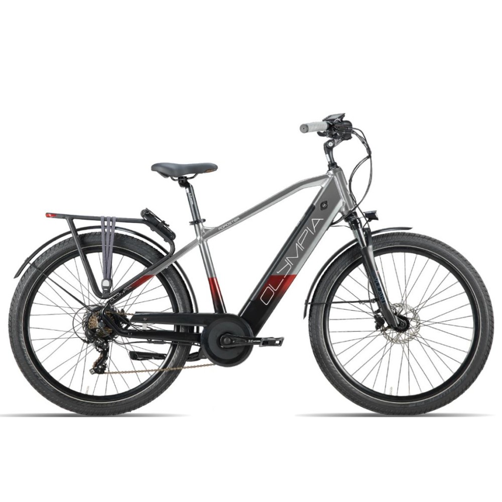 E-Bike Olympia Roadster uomo MY24 cc16