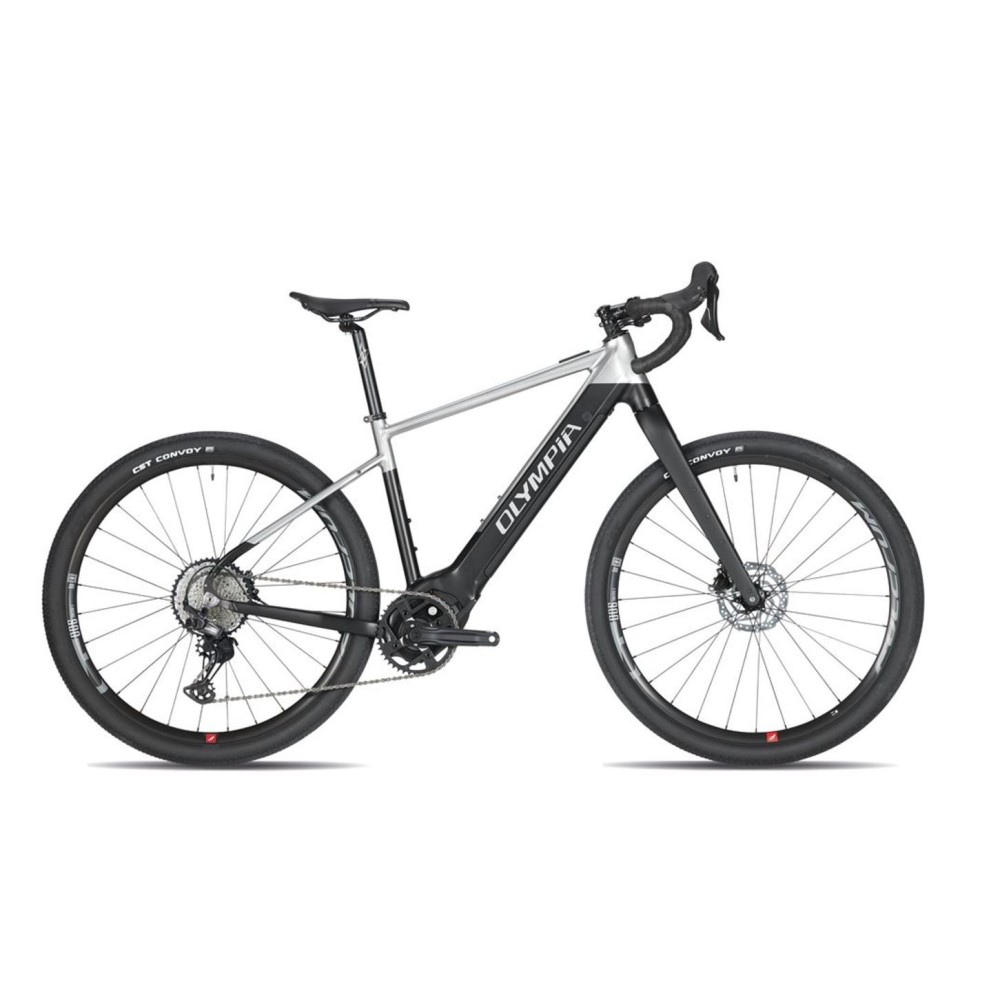 E-Bike Olympia SLED E-P3 Polini Grigia