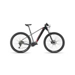 Ebike Olympia Performer 900wh Oli 29"