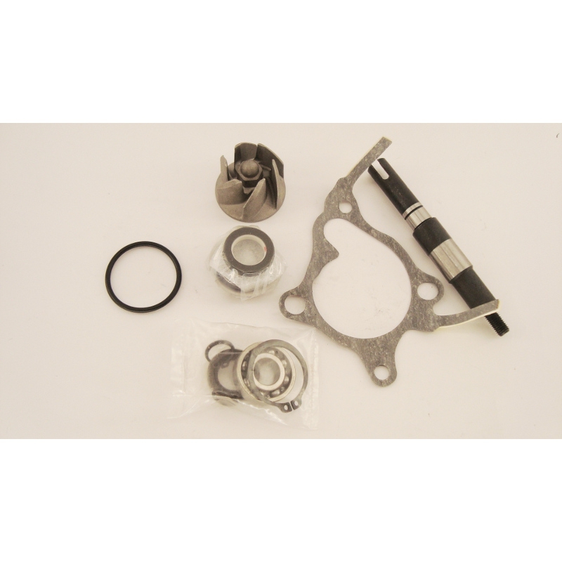 Kit pompa acqua HONDA FORESIGHT 250