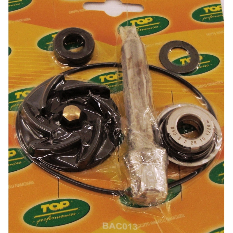 Kit revisione pompa acqua Piaggio 500