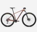 MTB 29 Orbea Onna 40 2023 Terrac-Green